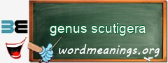 WordMeaning blackboard for genus scutigera